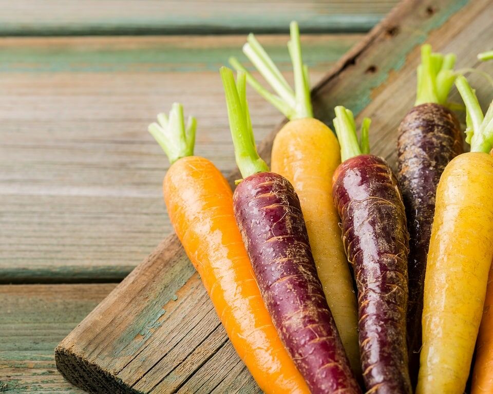 Fumagalli Danilo Ingrosso Ortofrutta Un assortimento di carote multicolori con le foglie verdi, provenienti dall’azienda di Danilo Fumagalli a Besana, in Brianza, disposte su un vassoio rustico di legno e comprendenti varietà arancioni, gialle e viola. Ristorazione Professionale - GDO - retail - privati