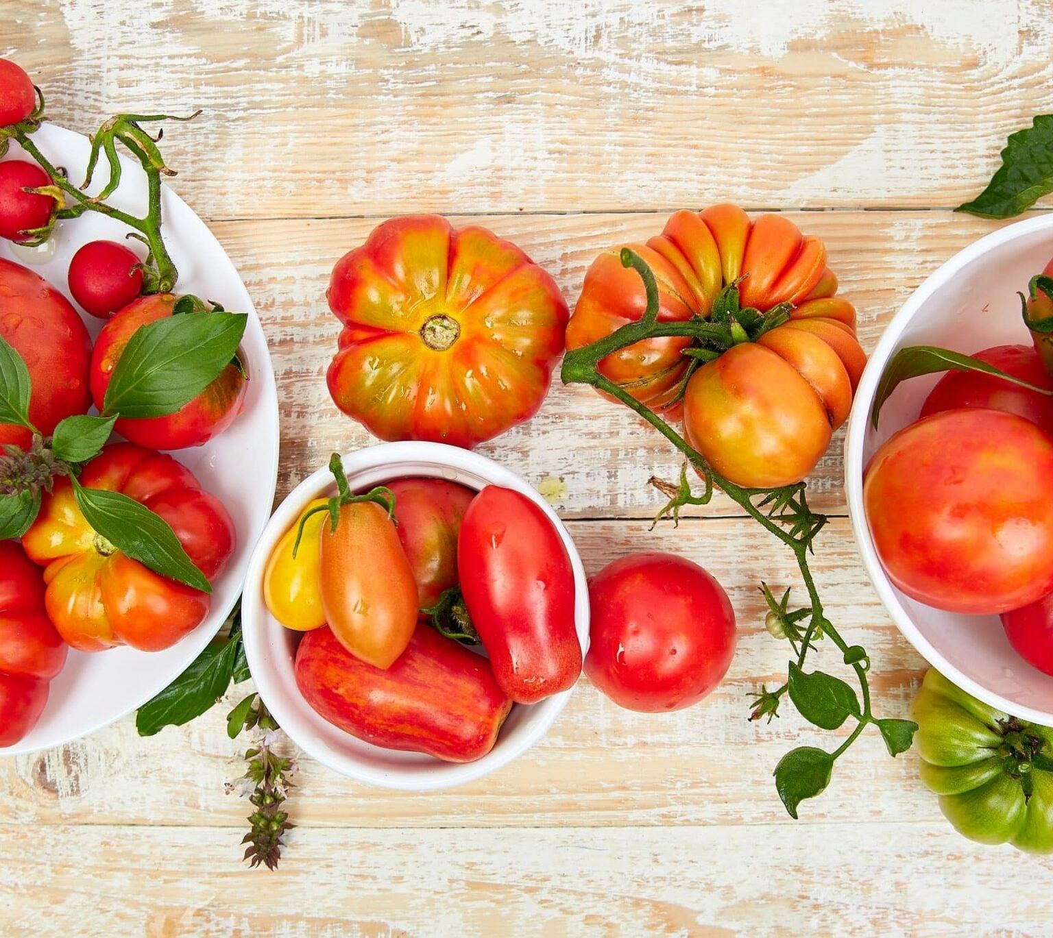 Fumagalli Danilo Ingrosso Ortofrutta Tre ciotole piene di pomodori tradizionali assortiti, dalle forme e dai colori più disparati, impreziosite da foglie di basilico fresco, sono disposte con gusto su un piano in legno chiaro: una perfetta vetrina della qualità che si trova da Fumagalli Danilo Besana in Brianza, punto di riferimento per l’ortofrutta, la ristorazione e il commercio all’ingrosso di frutta e verdura. Ristorazione Professionale - GDO - retail - privati