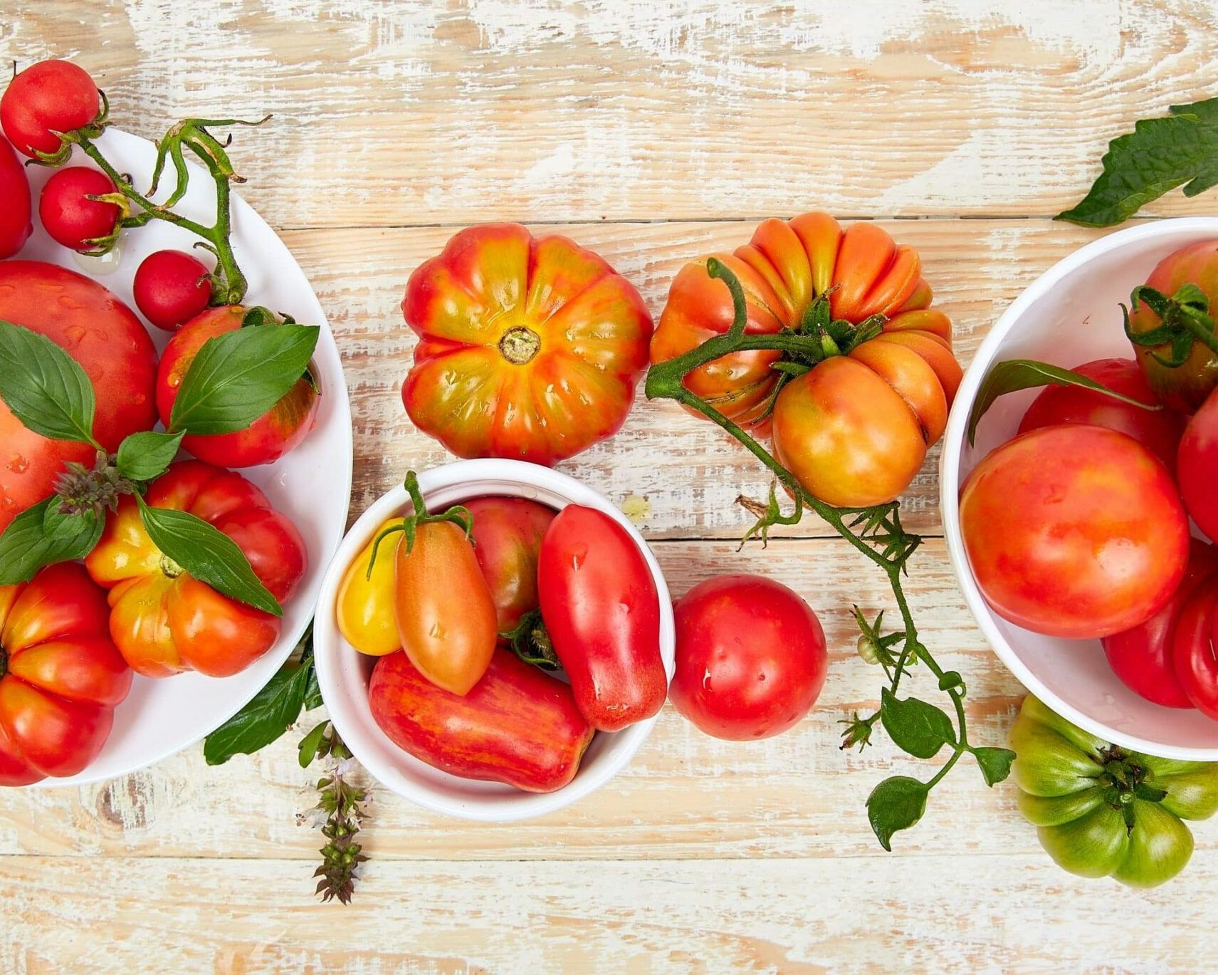 Fumagalli Danilo Ingrosso Ortofrutta Tre ciotole piene di pomodori tradizionali assortiti, di forme, dimensioni e colori diversi, sono disposte su un tavolo di legno, circondate da rampicanti di pomodoro e foglie di basilico. Perfette per la ristorazione ortofrutticola o per chiunque cerchi la freschezza che si trova in un ingrosso di frutta e verdura. Ristorazione Professionale - GDO - retail - privati