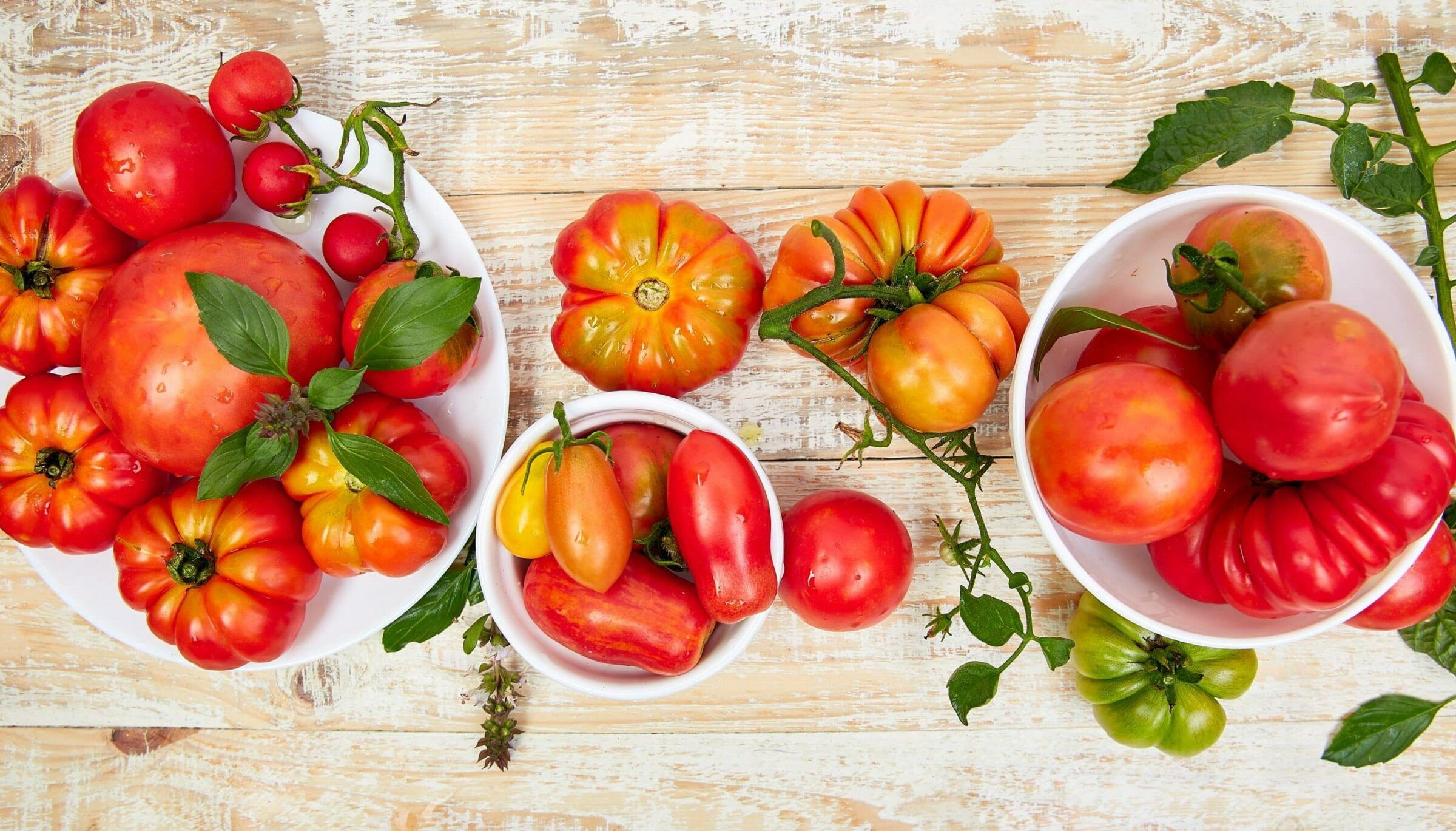 Fumagalli Danilo Ingrosso Ortofrutta Tre ciotole piene di pomodori tradizionali assortiti, dalle forme e dai colori più disparati, impreziosite da foglie di basilico fresco, sono disposte con gusto su un piano in legno chiaro: una perfetta vetrina della qualità che si trova da Fumagalli Danilo Besana in Brianza, punto di riferimento per l’ortofrutta, la ristorazione e il commercio all’ingrosso di frutta e verdura. Ristorazione Professionale - GDO - retail - privati