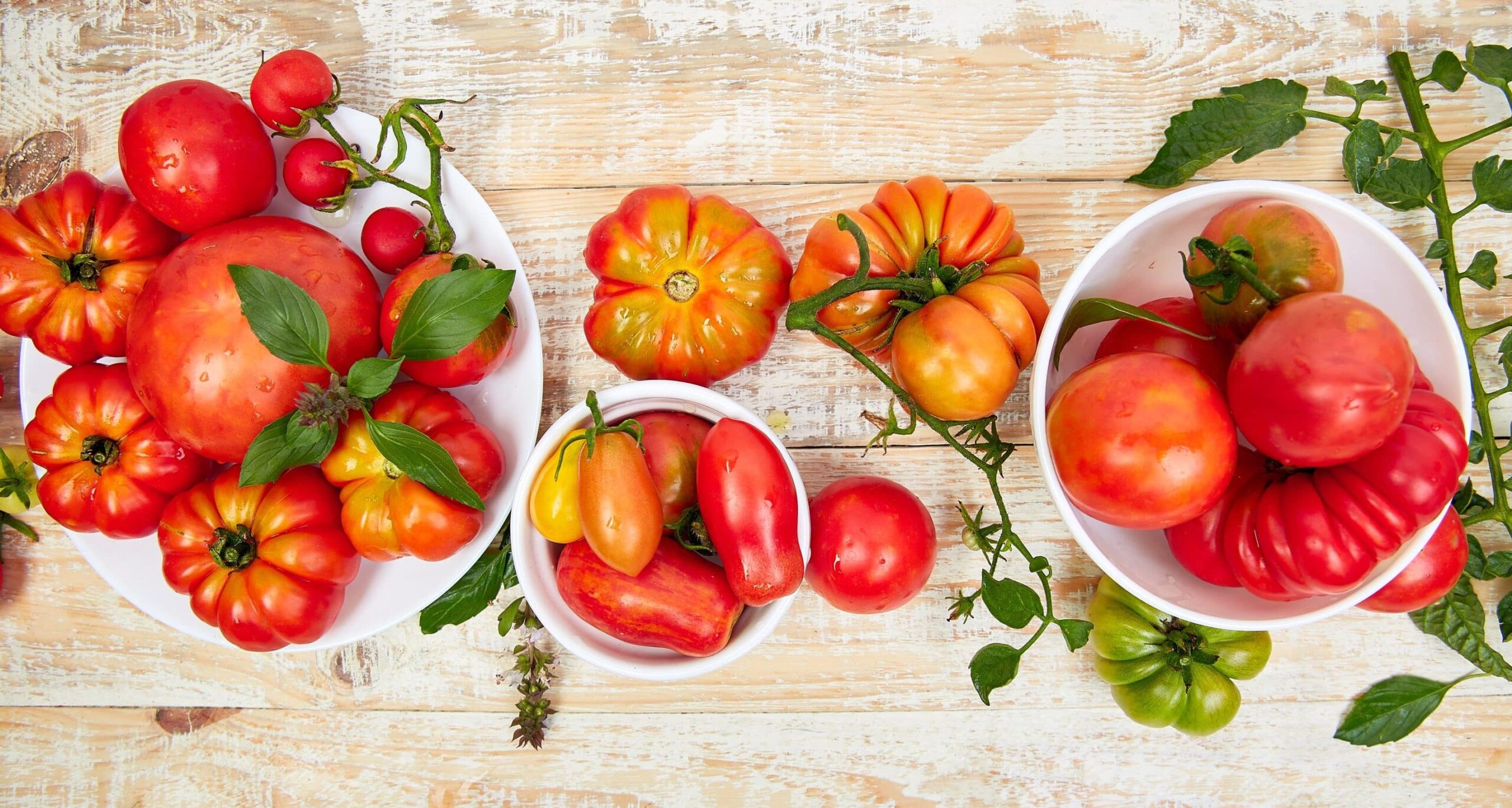 Fumagalli Danilo Ingrosso Ortofrutta Tre ciotole piene di pomodori tradizionali assortiti, dalle forme e dai colori più disparati, impreziosite da foglie di basilico fresco, sono disposte con gusto su un piano in legno chiaro: una perfetta vetrina della qualità che si trova da Fumagalli Danilo Besana in Brianza, punto di riferimento per l’ortofrutta, la ristorazione e il commercio all’ingrosso di frutta e verdura. Ristorazione Professionale - GDO - retail - privati