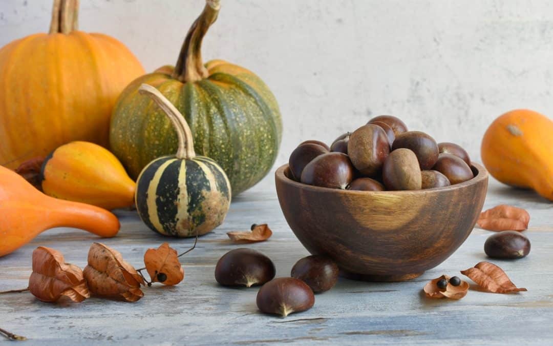 Zucche e castagne: i protagonisti dell’autunno italiano