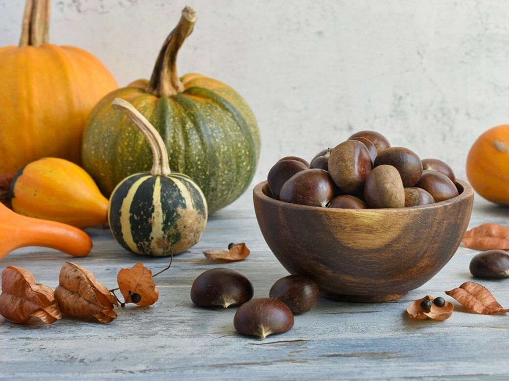 Fumagalli Danilo Ingrosso Ortofrutta Una ciotola di legno piena di castagne è appoggiata su un piano rustico, circondata da zucche di vario tipo, zucche ornamentali e foglie secche: un’allestimento invitante che ricorda un negozio all’ingrosso di frutta e verdura che rifornisce di prodotti freschi il settore della ristorazione ortofrutticola. Ristorazione Professionale - GDO - retail - privati