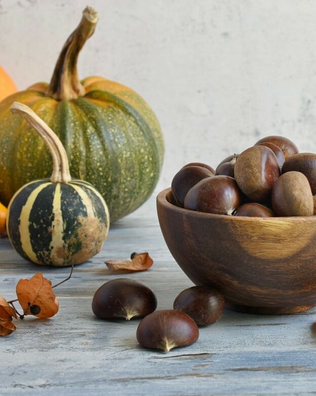 Fumagalli Danilo Ingrosso Ortofrutta Una ciotola di legno piena di castagne è appoggiata su un piano rustico, circondata da zucche di vario tipo, zucche ornamentali e foglie secche: un’allestimento invitante che ricorda un negozio all’ingrosso di frutta e verdura che rifornisce di prodotti freschi il settore della ristorazione ortofrutticola. Ristorazione Professionale - GDO - retail - privati