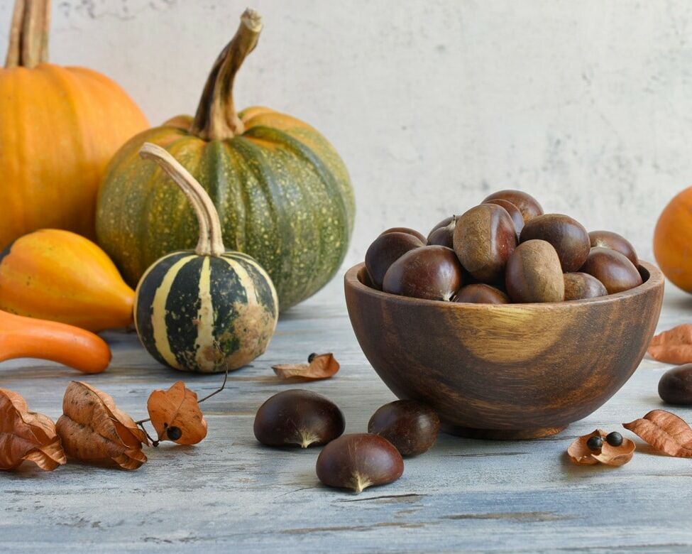 Fumagalli Danilo Ingrosso Ortofrutta Una ciotola di legno piena di castagne è appoggiata su un piano rustico, circondata da zucche di vario tipo, zucche ornamentali e foglie secche: un’allestimento invitante che ricorda un negozio all’ingrosso di frutta e verdura che rifornisce di prodotti freschi il settore della ristorazione ortofrutticola. Ristorazione Professionale - GDO - retail - privati