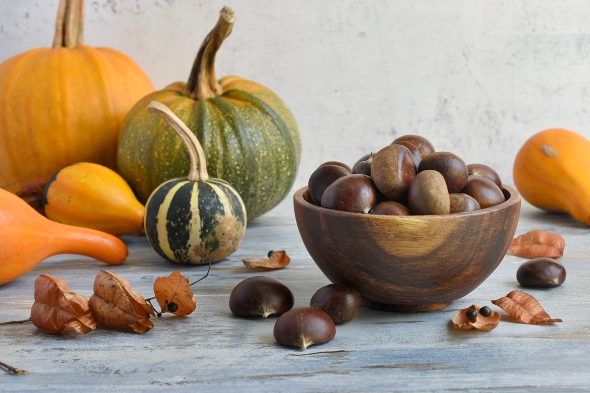 Fumagalli Danilo Ingrosso Ortofrutta Una ciotola di legno piena di castagne è posata su un tavolo circondato da zucche, zucche ornamentali e foglie secche, a catturare il fascino rustico di una scena di mercato che spesso si può ammirare da Fumagalli Danilo Besana in Brianza, rinomato come grossista ortofrutticolo. Ristorazione Professionale - GDO - retail - privati