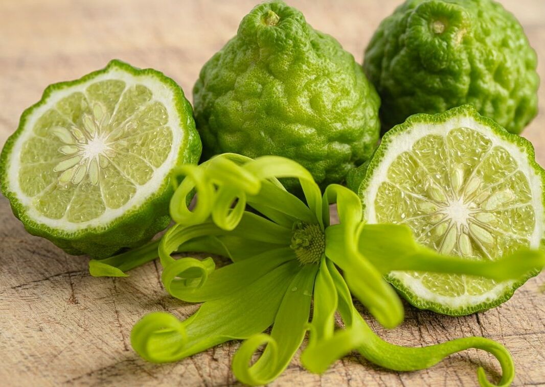 Fumagalli Danilo Ingrosso Ortofrutta Tre lime kaffir, uno intero e due metà, giacciono accanto a un fiore verde di ylang-ylang su una superficie di legno: l’ispirazione perfetta per il mondo dell’ingrosso di frutta e verdura o dell’ortofrutta per la ristorazione. Ristorazione Professionale - GDO - retail - privati