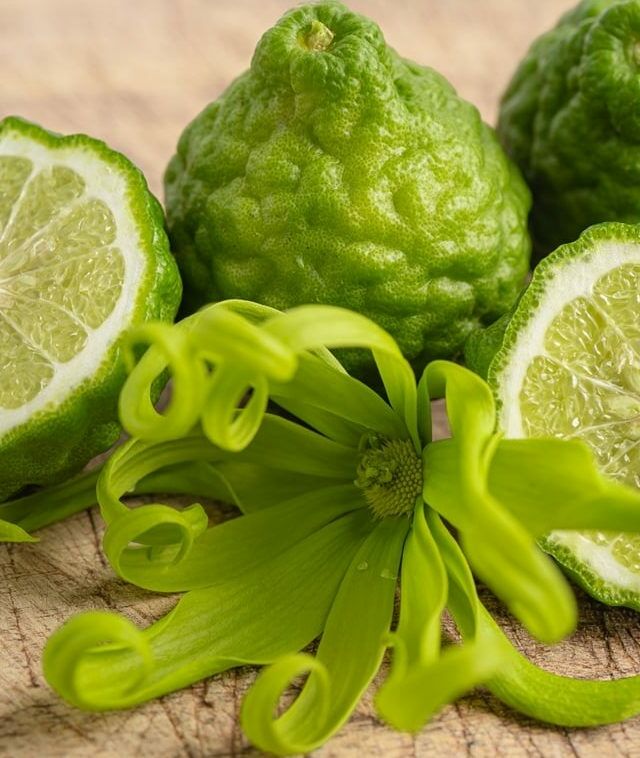 Fumagalli Danilo Ingrosso Ortofrutta Tre lime kaffir, uno intero e due metà, giacciono accanto a un fiore verde di ylang-ylang su una superficie di legno: l’ispirazione perfetta per il mondo dell’ingrosso di frutta e verdura o dell’ortofrutta per la ristorazione. Ristorazione Professionale - GDO - retail - privati