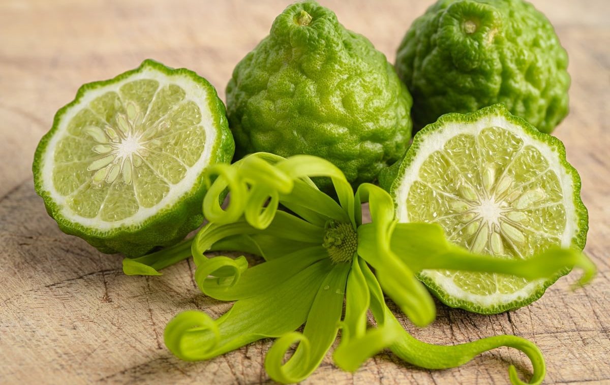Fumagalli Danilo Ingrosso Ortofrutta Tre lime kaffir, uno intero e due metà, giacciono accanto a un fiore verde di ylang-ylang su una superficie di legno: l’ispirazione perfetta per il mondo dell’ingrosso di frutta e verdura o dell’ortofrutta per la ristorazione. Ristorazione Professionale - GDO - retail - privati