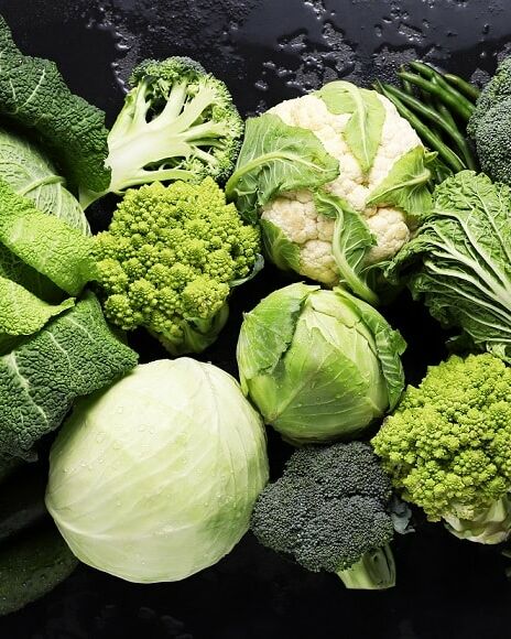 Fumagalli Danilo Ingrosso Ortofrutta Una selezione di verdure a foglia verde, tra cui cavolo, broccoli, cavolfiore, cavolo cinese, lattuga e varie verdure a foglia, è disposta su una superficie scura. Provenienti da fornitori leader del settore quali Fumagalli Danilo Besana in Brianza, un nome di fiducia nel settore dell’ingrosso di frutta e verdura e come grossista ortofrutticolo. Ristorazione Professionale - GDO - retail - privati