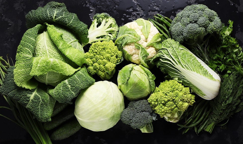 Brassicacee: la forza verde dell’inverno italiano