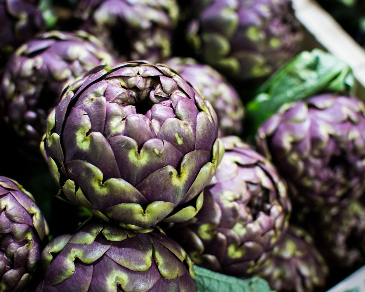 Fumagalli Danilo Ingrosso Ortofrutta Un primo piano di diversi carciofi viola freschi disposti uno sopra l’altro, provenienti da Fumagalli Danilo Besana in Brianza, che ne mette in risalto le foglie ruvide e le sfumature di verde: perfetti per la vendita all’ingrosso di frutta e verdura e per la ristorazione ortofrutticola. Ristorazione Professionale - GDO - retail - privati