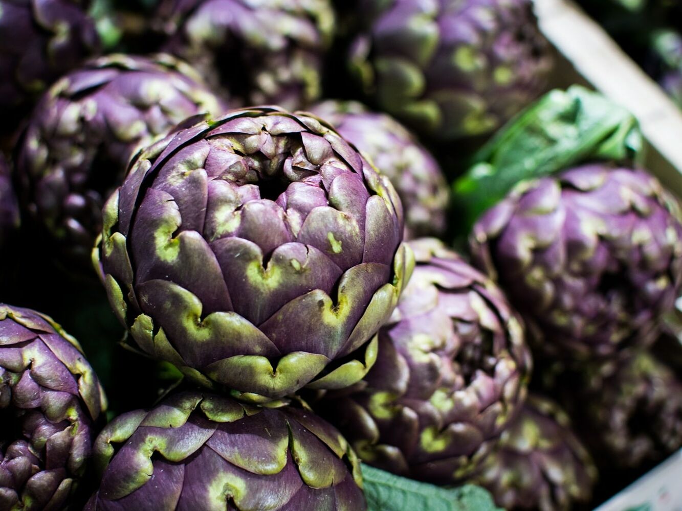 Fumagalli Danilo Ingrosso Ortofrutta Primo piano di diversi carciofi viola freschi disposti uno sopra l&rsquo;altro, con foglie verdi visibili tutt&rsquo;intorno, foto fornita da Fumagalli Danilo di Besana in Brianza, grossista ortofrutticolo. Ristorazione Professionale - GDO - retail - privati