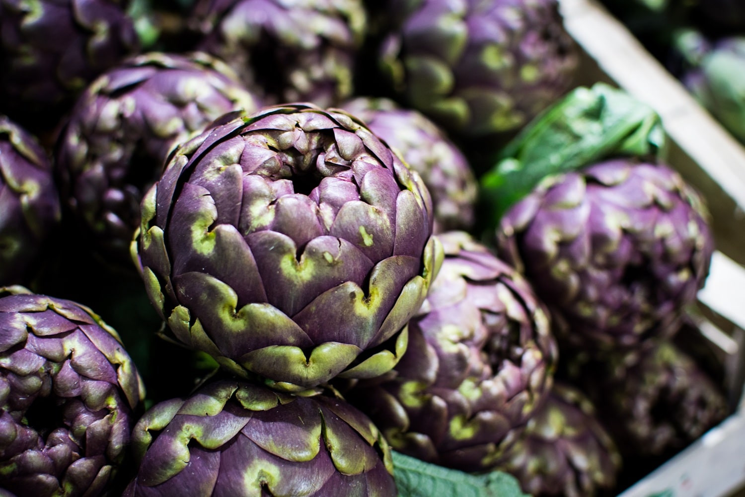 Fumagalli Danilo Ingrosso Ortofrutta Primo piano di diversi carciofi viola freschi disposti uno sopra l’altro, con foglie verdi visibili tutt’intorno, foto fornita da Fumagalli Danilo di Besana in Brianza, grossista ortofrutticolo. Ristorazione Professionale - GDO - retail - privati