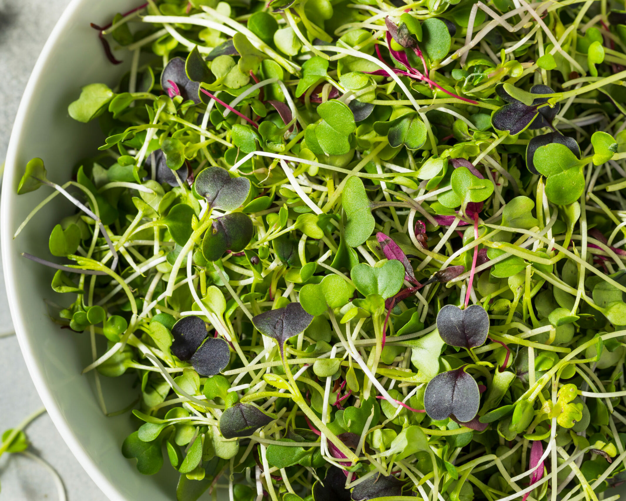 Fumagalli Danilo Ingrosso Ortofrutta Un primo piano di una ciotola piena di microverdure fresche assortite, di colore verde e viola, ideali per la ristorazione ortofrutticola, su una superficie chiara. Ristorazione Professionale - GDO - retail - privati