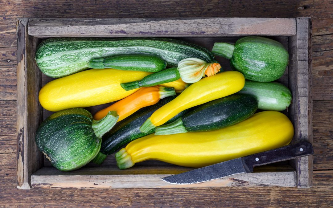 Zucchine: la versatilit&agrave; dell&rsquo;estate italiana