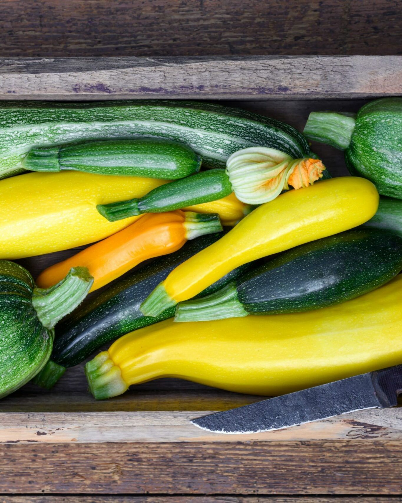 Fumagalli Danilo Ingrosso Ortofrutta Cassa di legno piena di varie zucchine gialle e verdi, perfette per la vendita all'ingrosso di frutta e verdura, con un coltello dal manico nero appoggiato all'interno sulla superficie di legno consumata dal tempo. Ristorazione Professionale - GDO - retail - privati