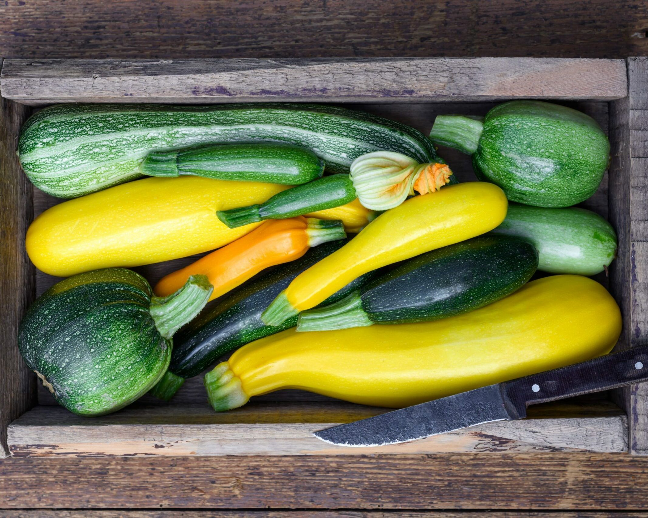 Fumagalli Danilo Ingrosso Ortofrutta Cassa di legno piena di varie zucchine gialle e verdi, perfette per la vendita all'ingrosso di frutta e verdura, con un coltello dal manico nero appoggiato all'interno sulla superficie di legno consumata dal tempo. Ristorazione Professionale - GDO - retail - privati