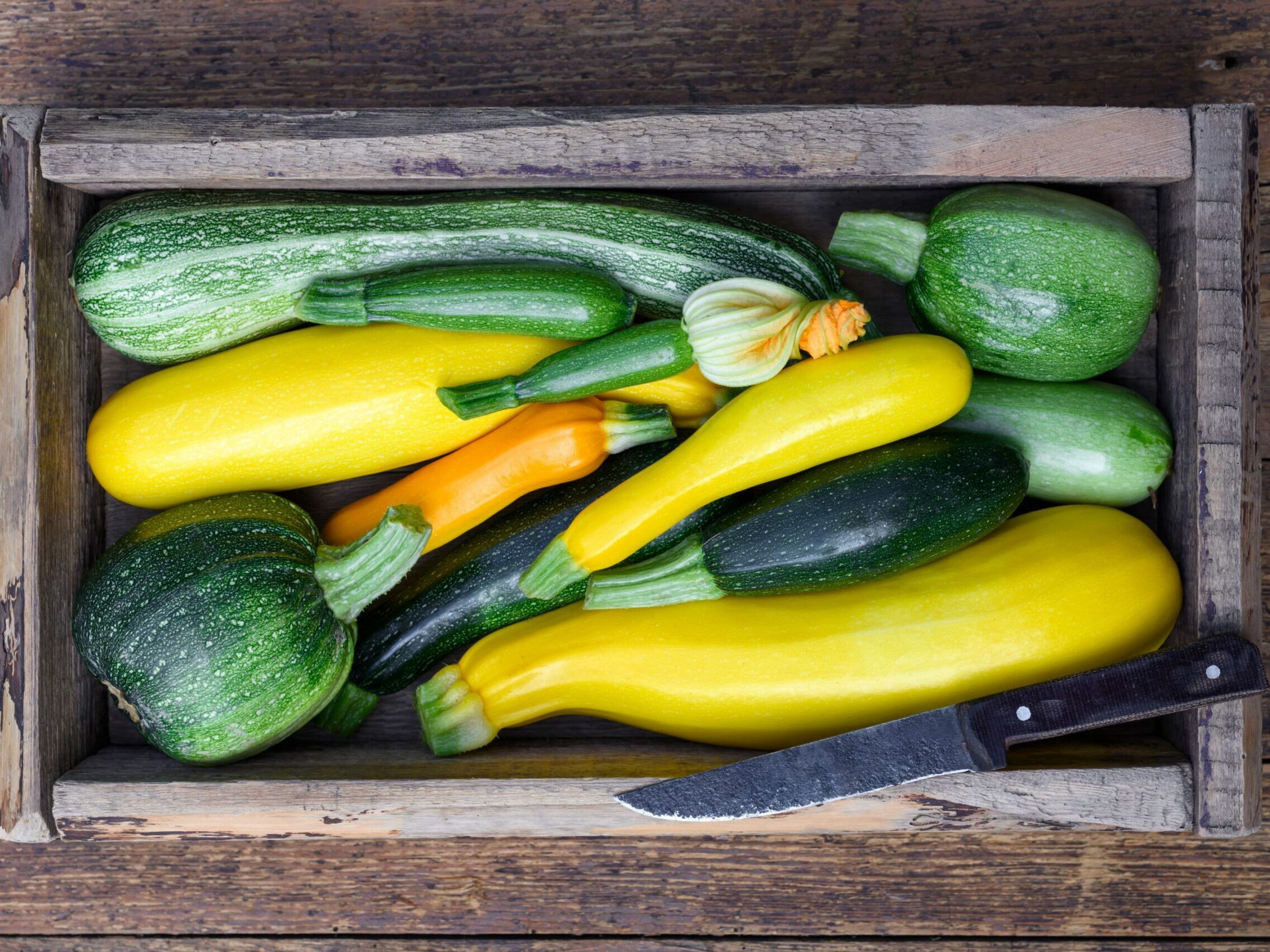 Fumagalli Danilo Ingrosso Ortofrutta Una cassa di legno piena di zucchine verdi e gialle assortite, accanto a un coltellino, su un piano rustico in legno: perfetta per qualsiasi esigenza nel settore ortofrutticolo, sia per la ristorazione che per la vendita all’ingrosso di frutta e verdura, da Fumagalli Danilo Besana in Brianza. Ristorazione Professionale - GDO - retail - privati