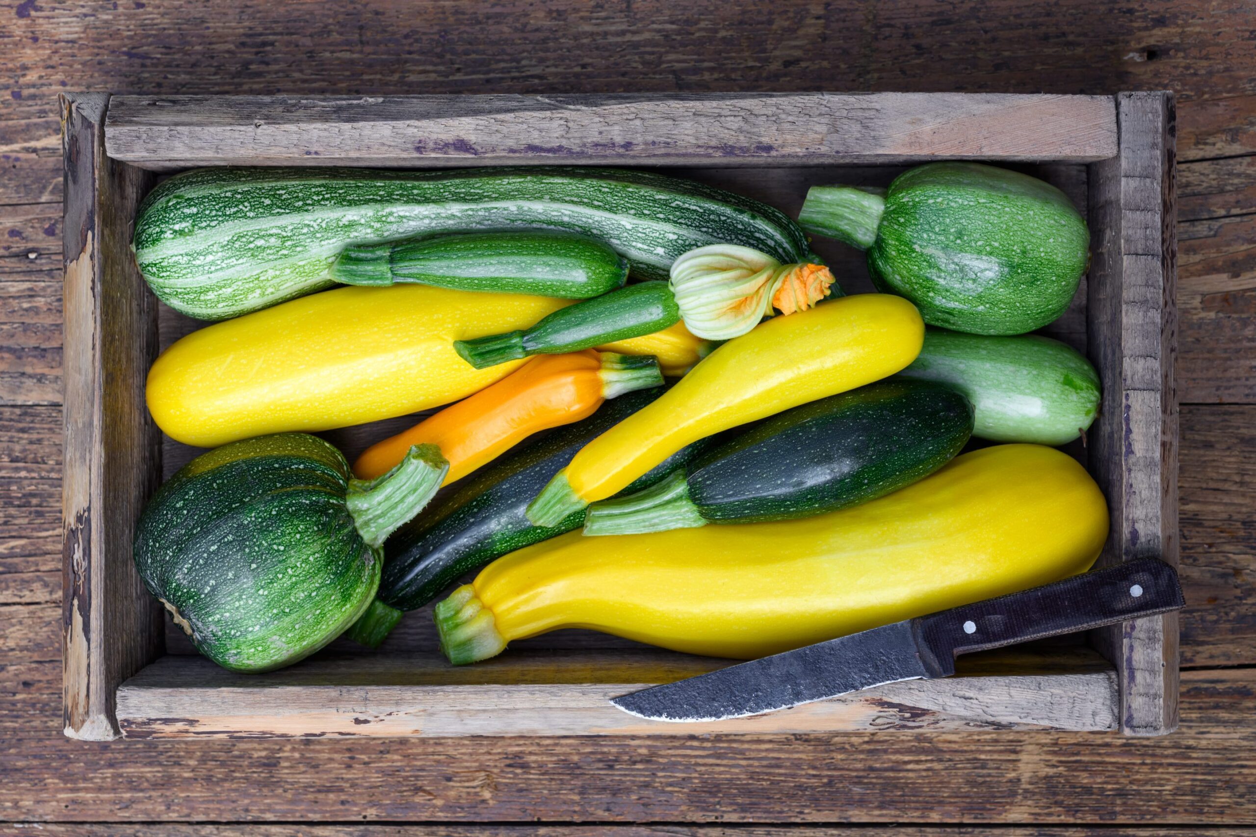 Fumagalli Danilo Ingrosso Ortofrutta Una cassa di legno piena di zucchine verdi e gialle assortite, accanto a un coltellino, su un piano rustico in legno: perfetta per qualsiasi esigenza nel settore ortofrutticolo, sia per la ristorazione che per la vendita all’ingrosso di frutta e verdura, da Fumagalli Danilo Besana in Brianza. Ristorazione Professionale - GDO - retail - privati