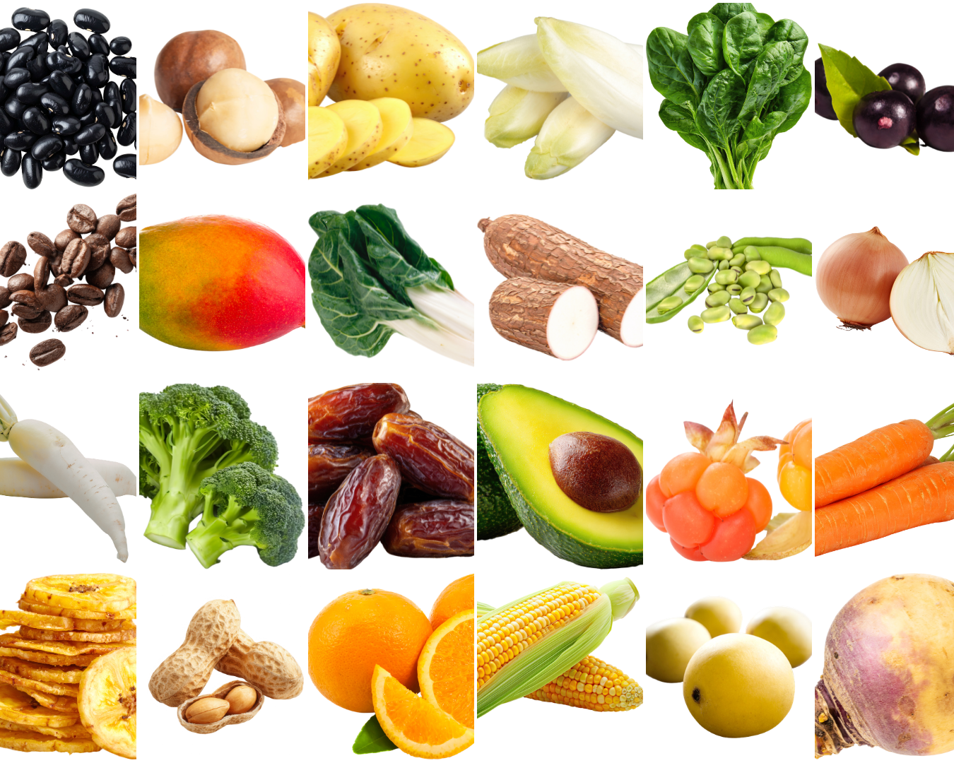 Fumagalli Danilo Ingrosso Ortofrutta Una griglia di vari tipi di frutta, verdura, legumi e frutta secca disposti su uno sfondo bianco — tra cui fichi, fagioli, patate, spinaci, mango, manioca, broccoli e altro ancora — offre spunti di ispirazione per orotofrutta ristorazione. Proveniente da Fumagalli Danilo Besana in Brianza, questa selezione mette in risalto la qualità e la varietà offerte da un grossista leader nel settore ortofrutticolo. Ristorazione Professionale - GDO - retail - privati